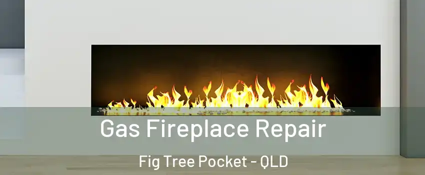 Gas Fireplace Repair Fig Tree Pocket - QLD