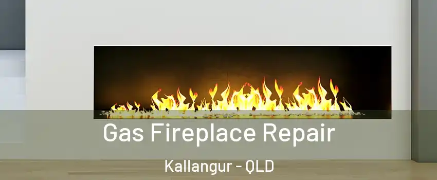  Gas Fireplace Repair Kallangur - QLD