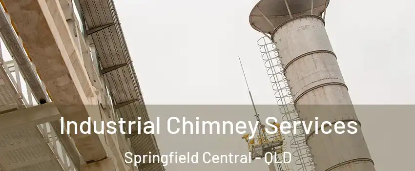 Industrial Chimney Services Springfield Central - QLD
