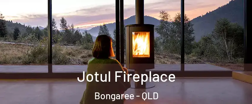 Jotul Fireplace Bongaree - QLD
