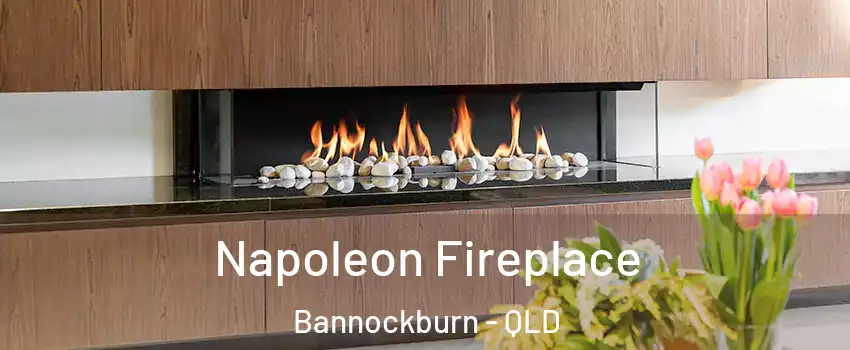 Napoleon Fireplace Bannockburn - QLD
