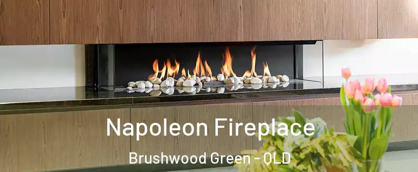 Napoleon Fireplace Brushwood Green - QLD