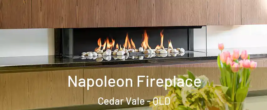 Napoleon Fireplace Cedar Vale - QLD