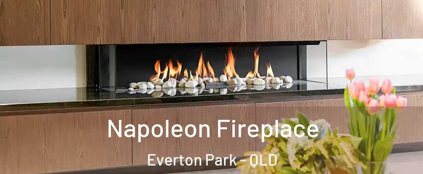  Napoleon Fireplace Everton Park - QLD