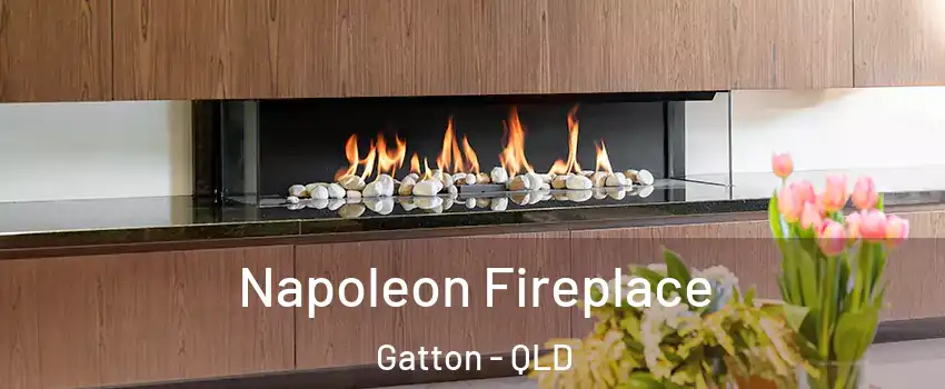 Napoleon Fireplace Gatton - QLD