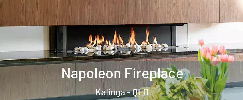 Napoleon Fireplace Kalinga - QLD