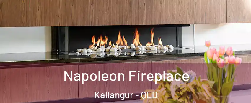  Napoleon Fireplace Kallangur - QLD