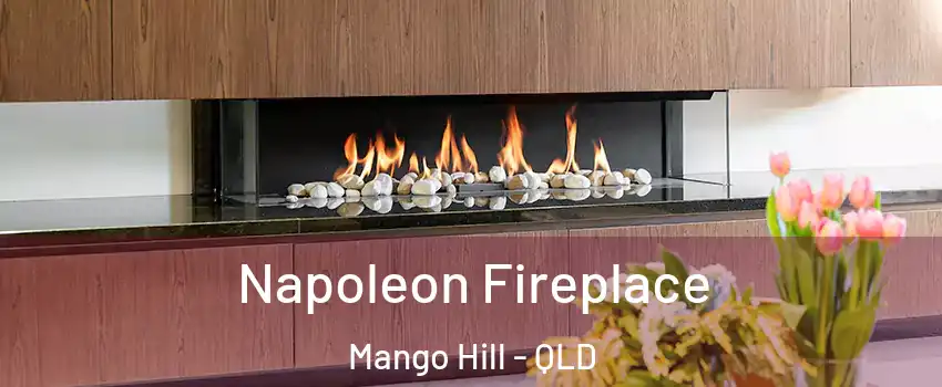  Napoleon Fireplace Mango Hill - QLD