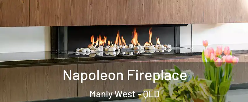  Napoleon Fireplace Manly West - QLD