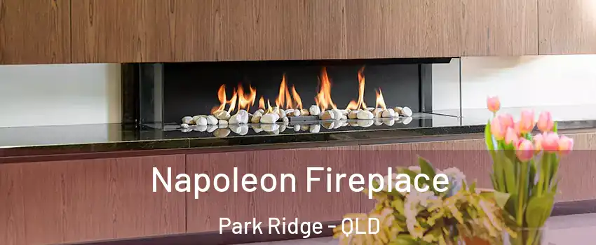 Napoleon Fireplace Park Ridge - QLD