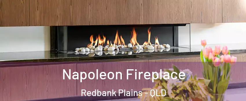 Napoleon Fireplace Redbank Plains - QLD