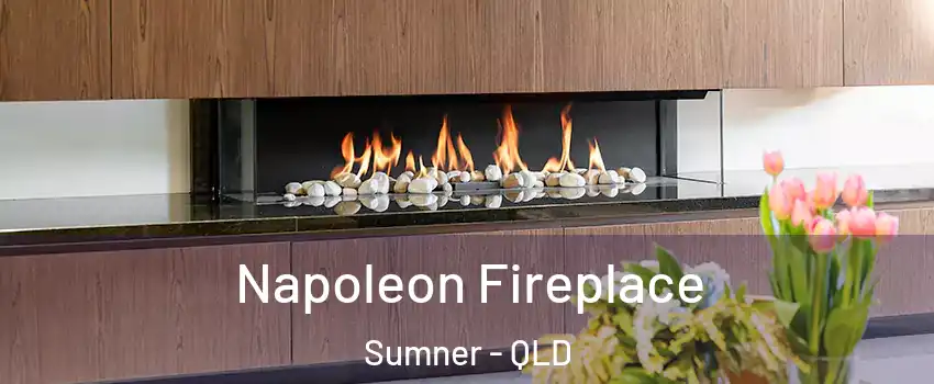 Napoleon Fireplace Sumner - QLD