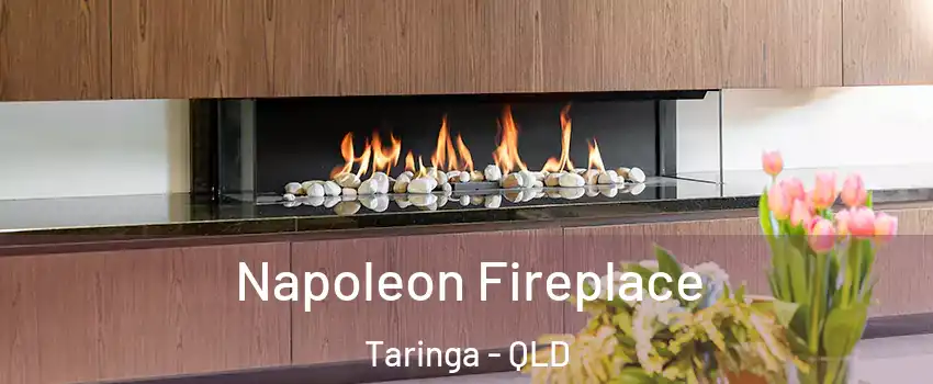 Napoleon Fireplace Taringa - QLD