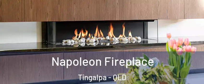  Napoleon Fireplace Tingalpa - QLD
