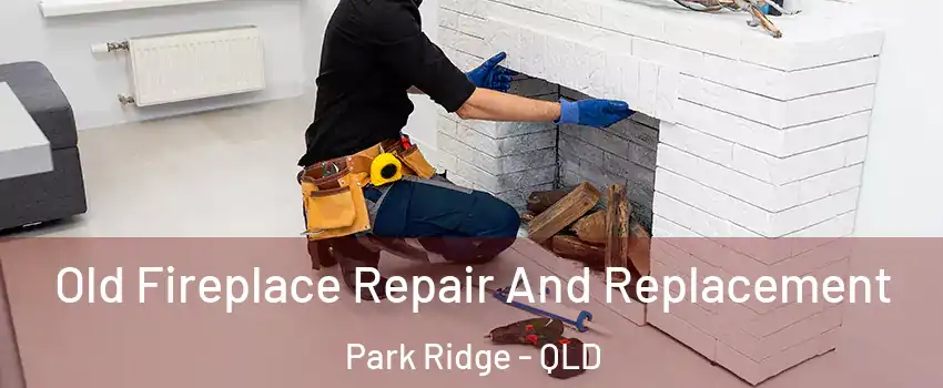 Old Fireplace Repair And Replacement Park Ridge - QLD