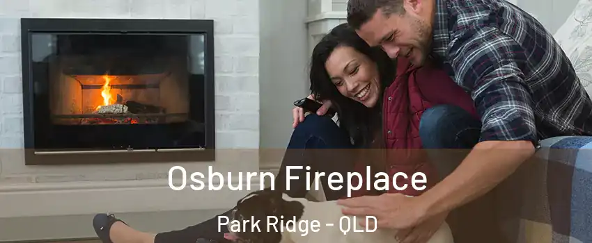 Osburn Fireplace Park Ridge - QLD