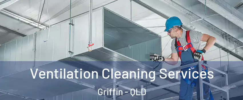 Ventilation Cleaning Services Griffin - QLD